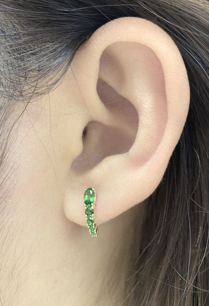 Gemstone Earrings CE230