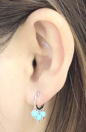 Gemstone Earrings CE236
