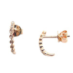 Diamond Earrings CE29